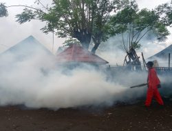 Dinas Kesehatan Kabupaten Takalar lakukan Fogging di Parialau lokasi Pasien Positif DBD.