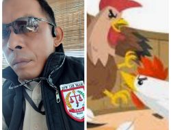 Aktivis Desak Polda Sulsel Usut Oknum di Polres Tator Bekingi Judi Sabung Ayam