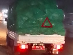 Miriis, Tercyduk Kendaraan Dinas Milik Perikanan Kabupaten Maros Muat Barang Milik Swasta