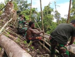 Satgas Pamtas Yonif 763/SBA Pos Afkrem Bantu Warga Buat Pagar Kebun di Kampung Afkrem
