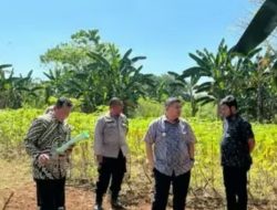 Wali Kota Makassar Tinjau Lahan 20 Hektare di Manggala, Disiapkan Jadi Taman Kota dan Sarana Olahraga