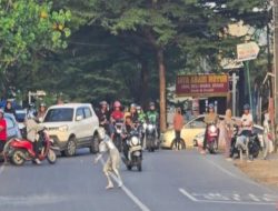 Aksi Penerbitan Manusia Silver, Satpol PP Kena Lemparan Batu